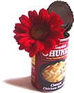 空き缶と花
